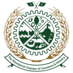 Rawalpindi Chamber Of Commerce and Industry (RCCI)